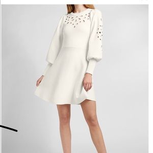 Express Eyelet Sweater Dress